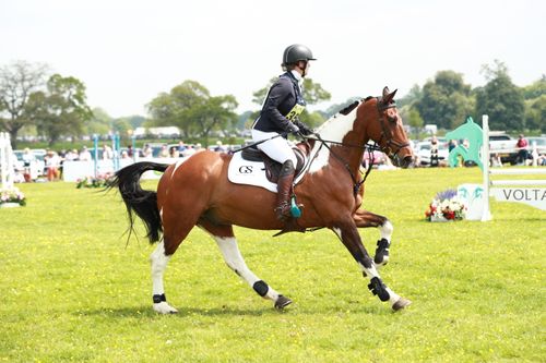 Tri-Zone Fetlock Boots