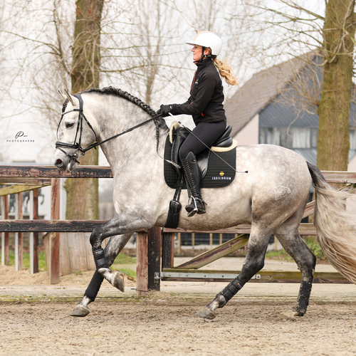 Stretch & Flex Flatwork Wraps