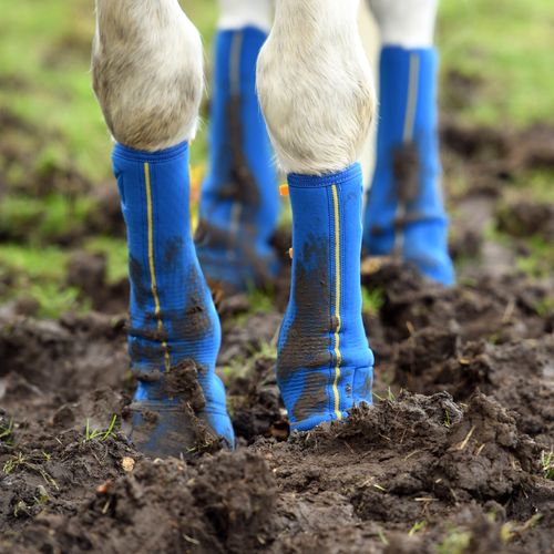 Equi-Chaps Close Contact Chaps
