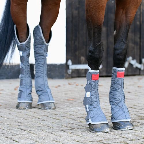 Magnetic Chaps & Hind & Hock Magnetic Chaps