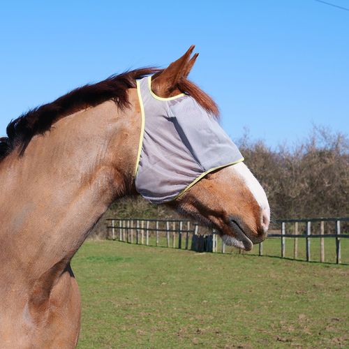 Field Relief Midi Fly Mask (without ears)