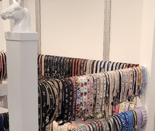 In the Loop Belt Collection