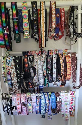 In the Loop Belt Collection