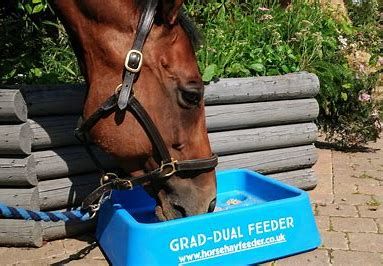 Grad-Dual Feeder