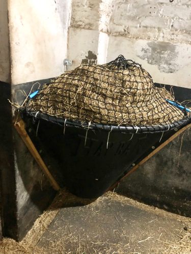 Stable Corner Slow feeder