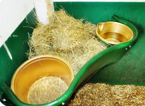 The All in One Complete Feeding Station