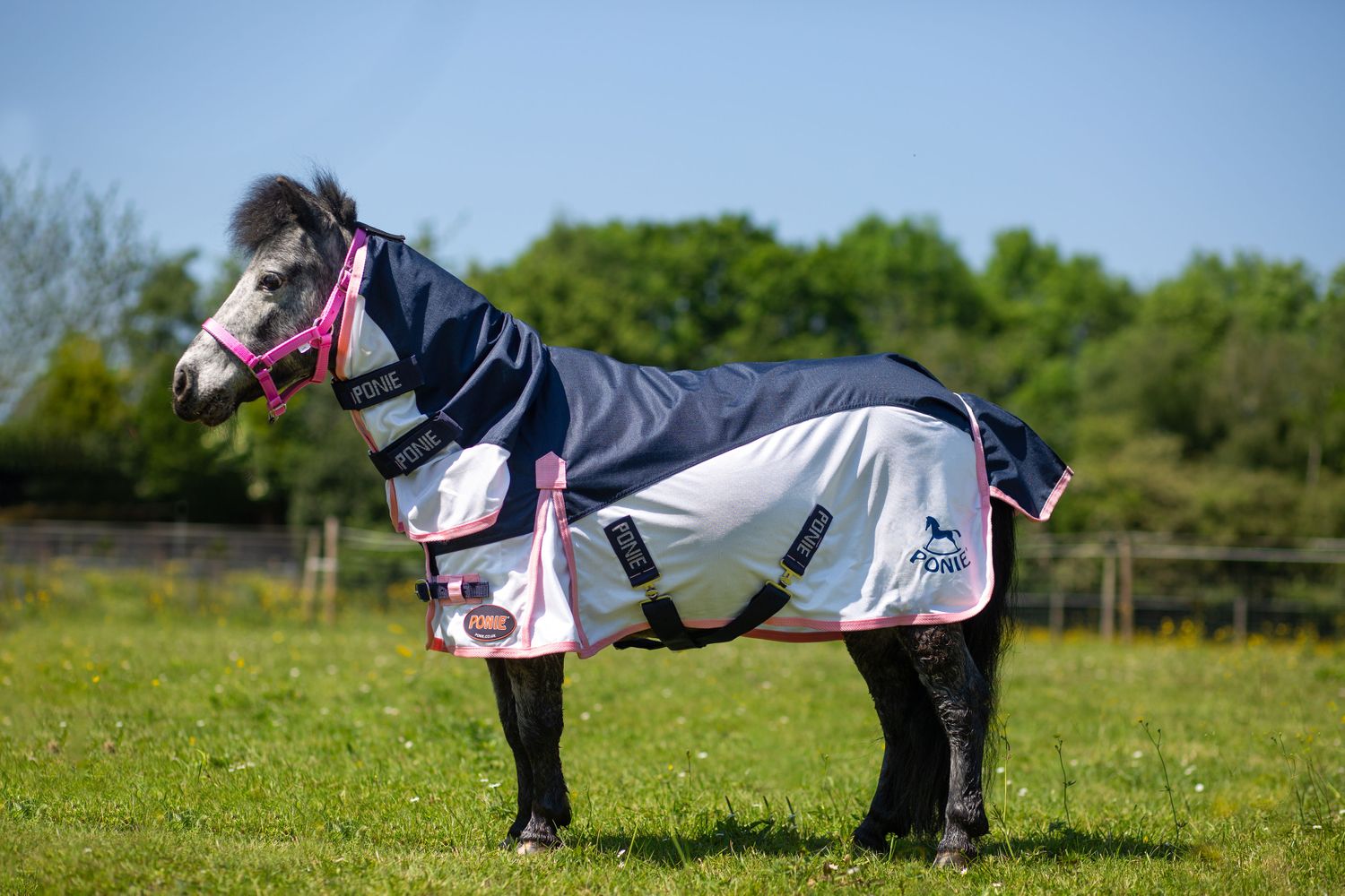 Gallop Equestrian 