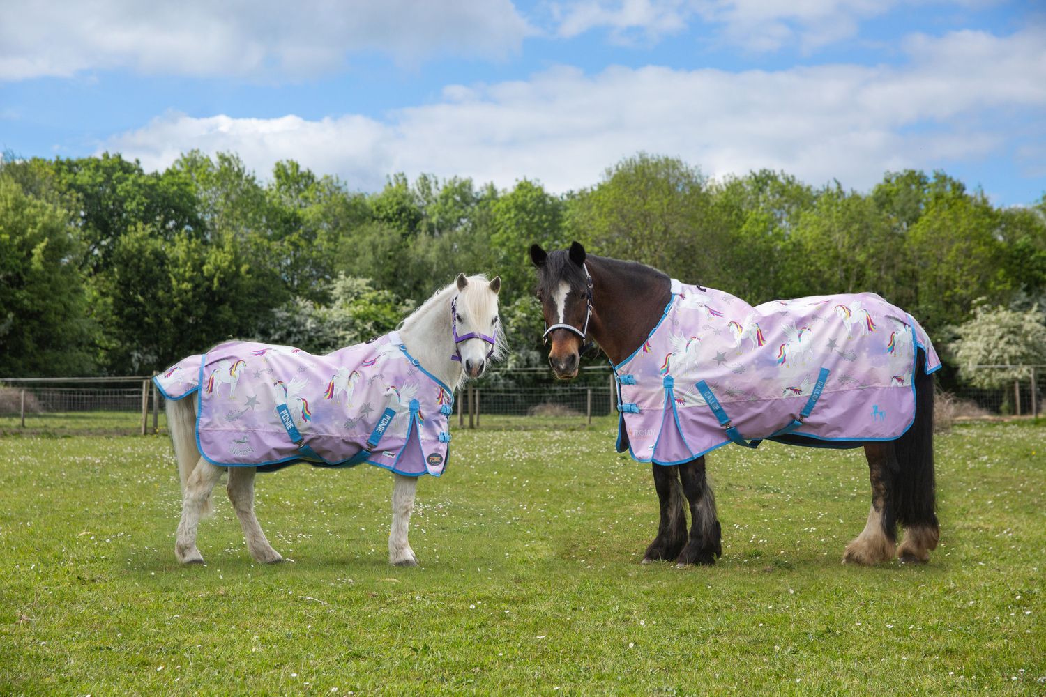 Gallop Equestrian
