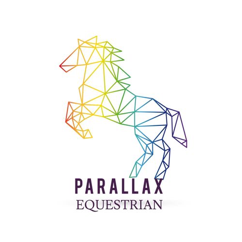 Parallax Plastics Ltd.