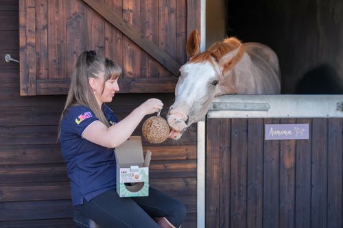 Exhibitor Spotlight- Talisker Bay, the company behind Likit Products, Stud Muffins, and more…