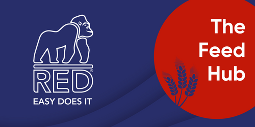 Red Gorilla to sponsor the Feed Hub at BETA International