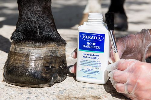 BETA International welcomes Keratex as a new sponsor for 2025