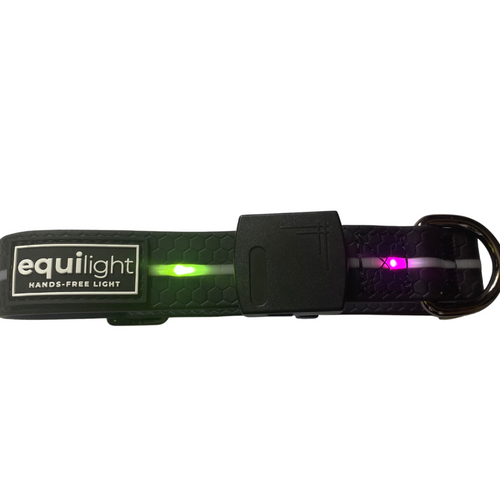 Equi-Light dog collars and leads