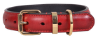 Leather Dog Collars