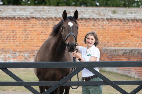 Dr Katie Williams Ph.D., MSc (Dist) R Nutr - Dengie Horse Feeds
