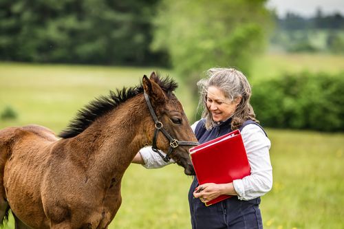 Louise Jones - Connolly's RED MILLS, Foran Equine, Carr & Day & Martin