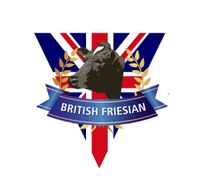 Company name - British Friesian