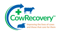 Company name - CowRecovery