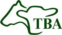 Company name - TBA Ltd