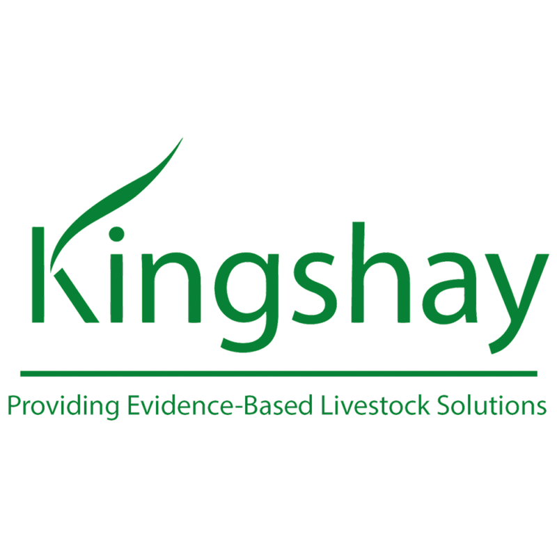 Kingshay