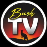 Bush TV