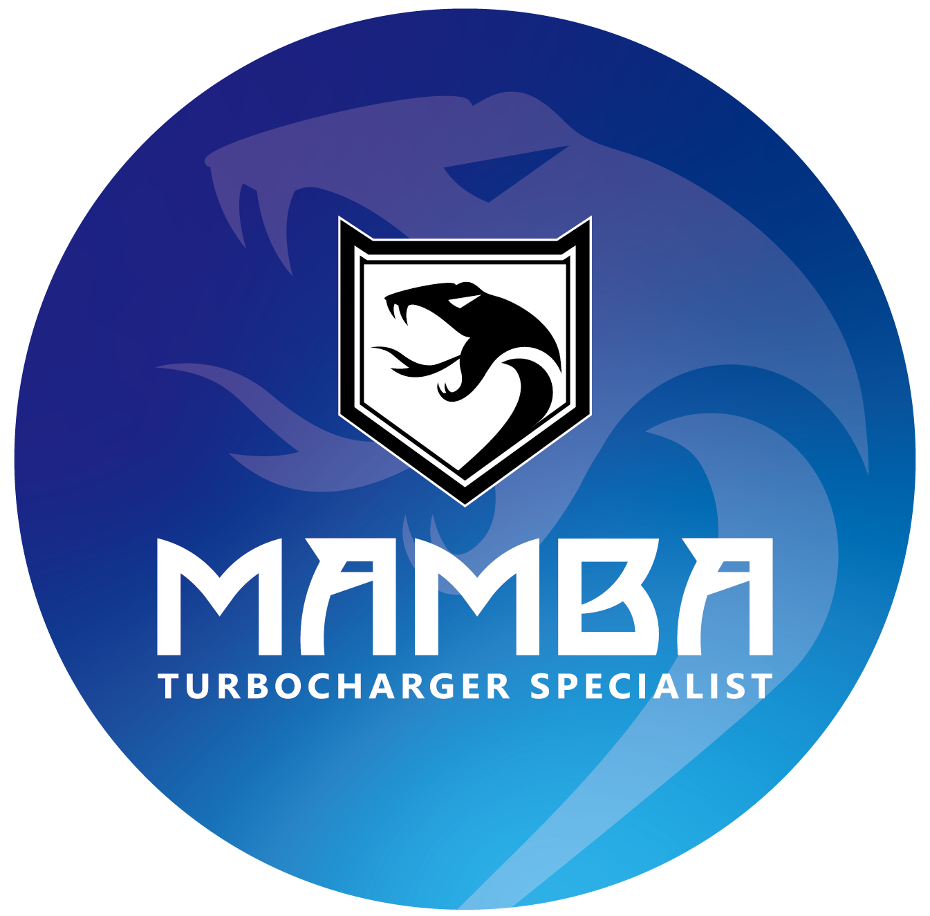 MAMBA