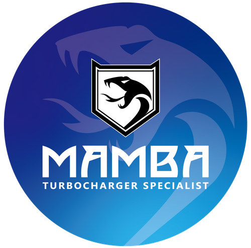 MAMBA