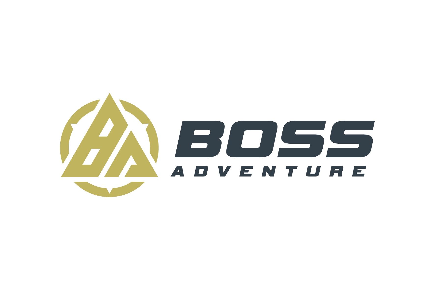 Boss Adventure