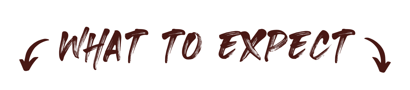 What to expect at the Live 4X4 Build