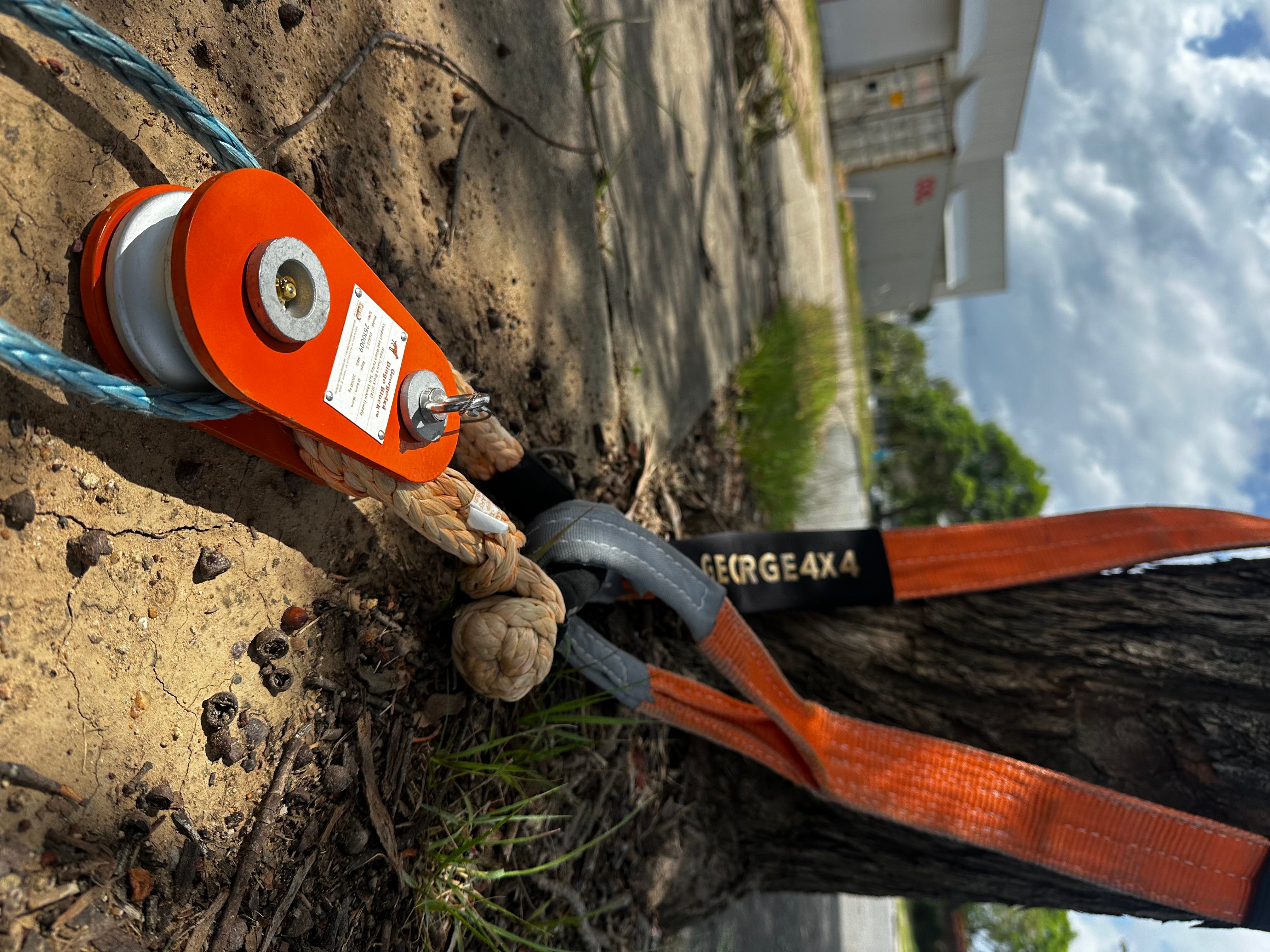 DINGO SNATCH BLOCK — DSB22 