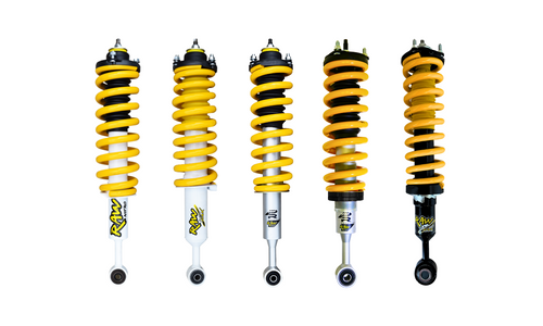 Shock Absorbers & Struts 