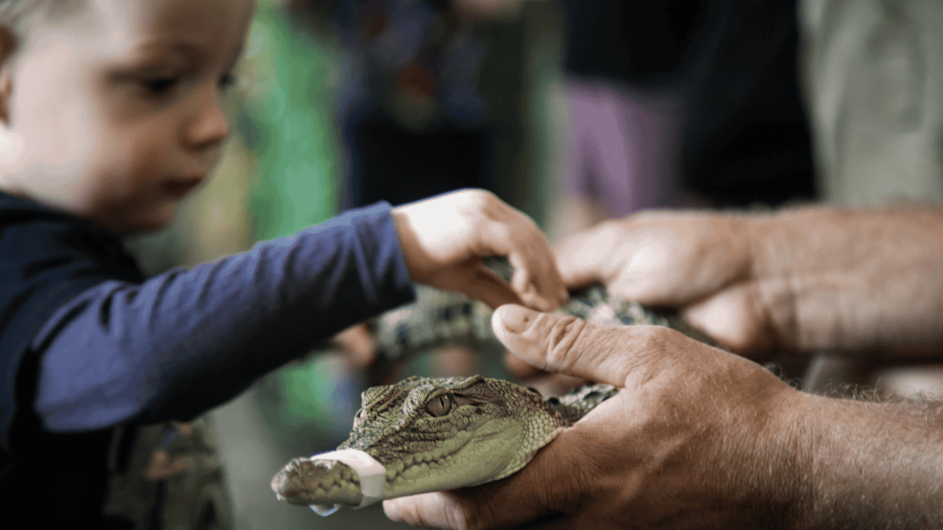 Wildlife show 