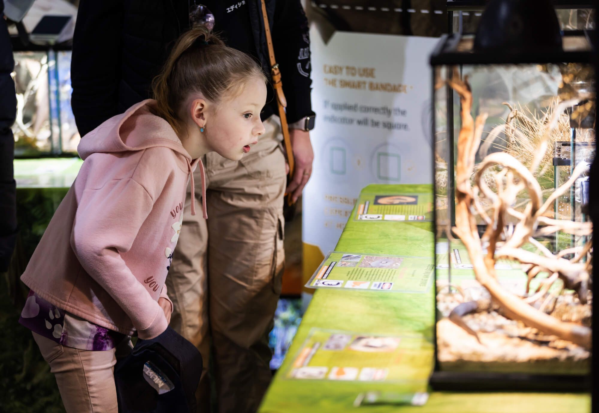 Wildlife show