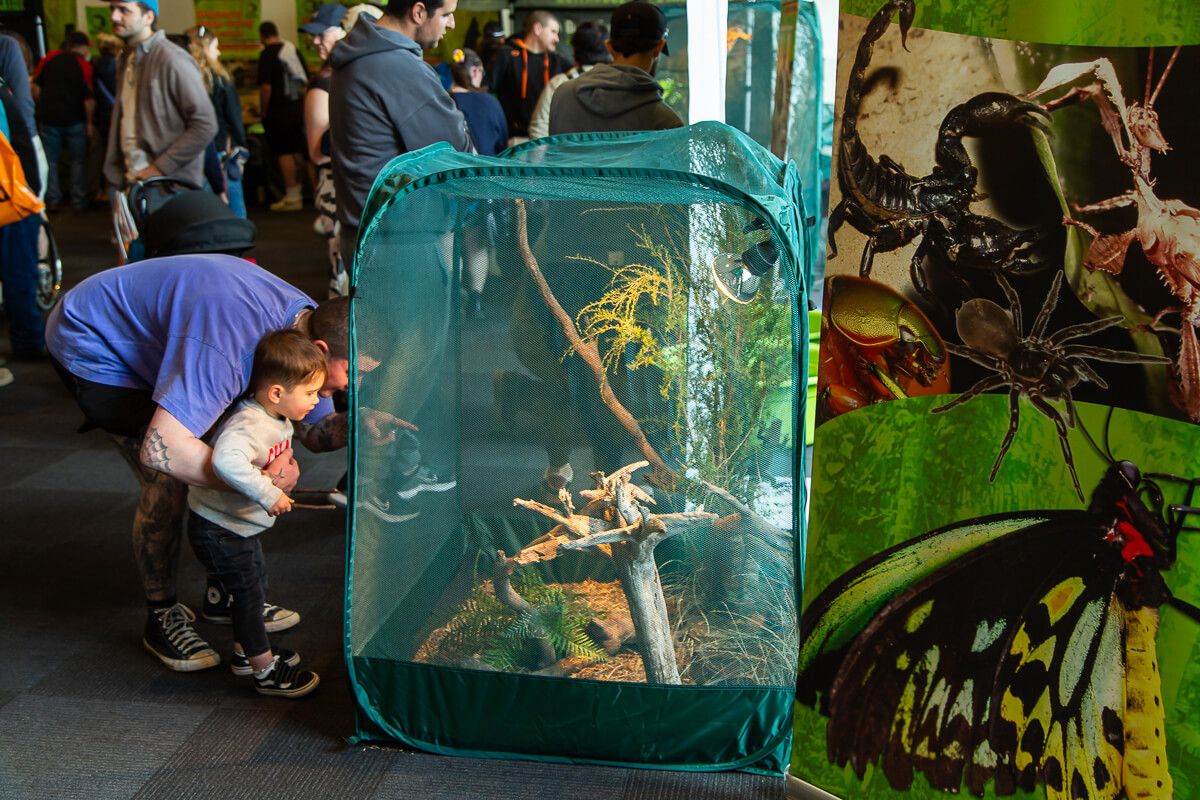 Wildlife show