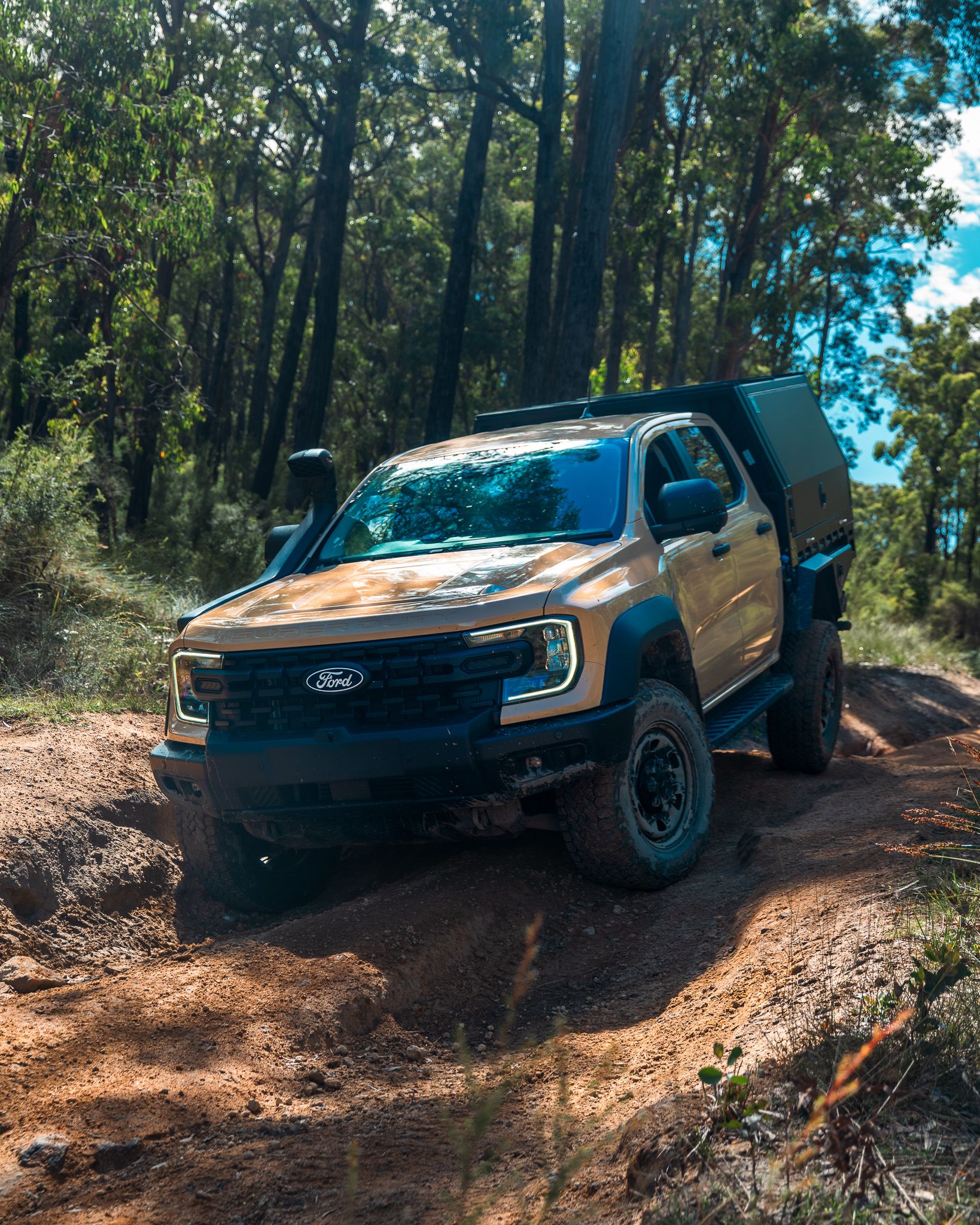 Prime Time: Testing the New Prime Series Tray and Canopy in Bunyip State Forest
