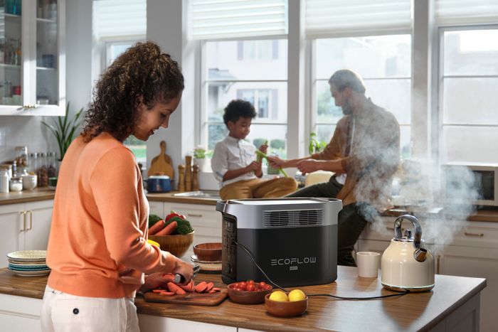 EcoFlow DELTA 2 Max Portable Power Station