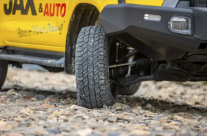 Tough Dog Suspension 