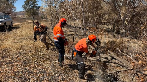 4WD and Chainsaw Training