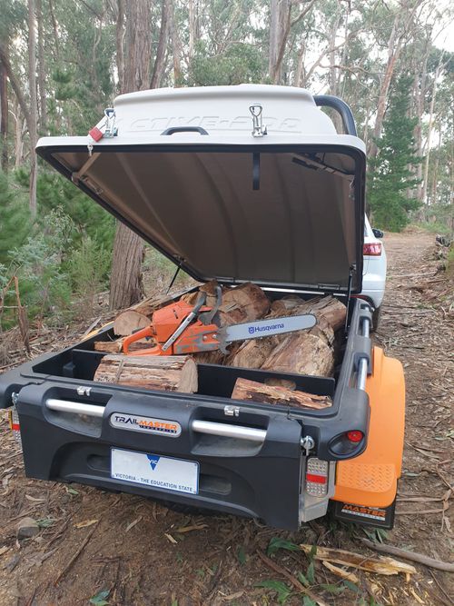 Trailmaster Active-Pod Utility Model 