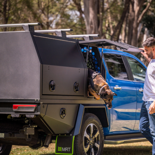 Companion Tray and Canopy Package