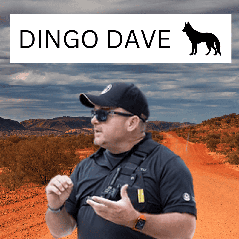 Dingo Dave