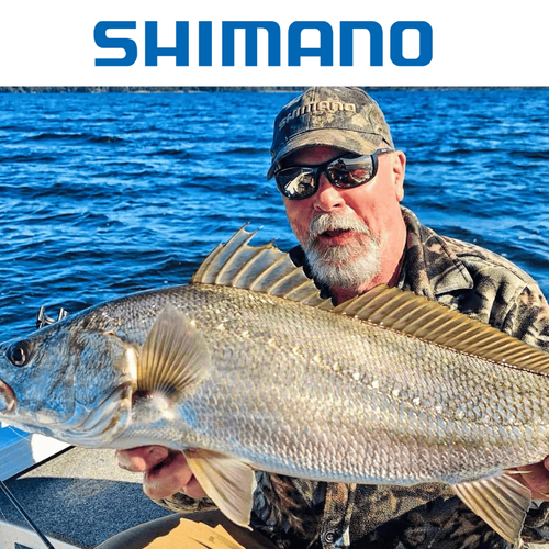 Hard Lures with Starlo