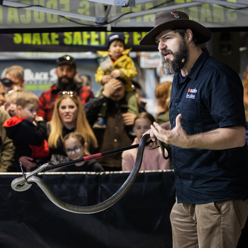 Wildlife Show