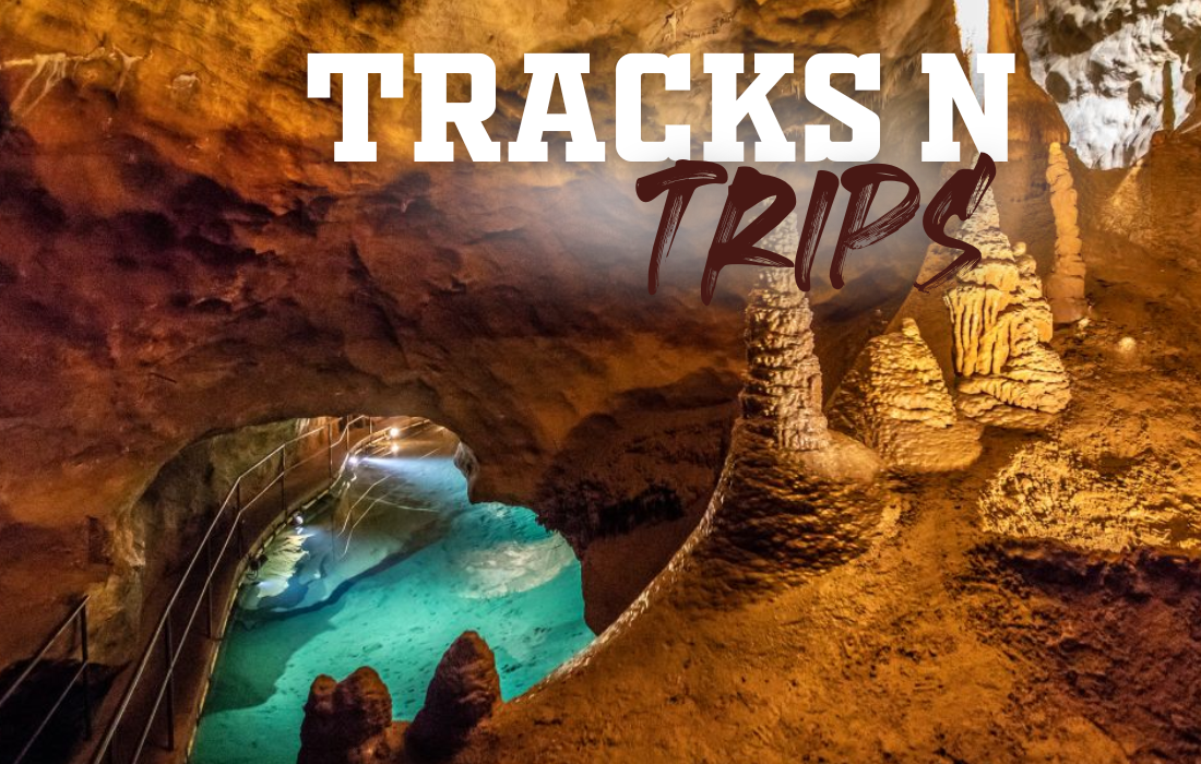 Tracks N Trips
