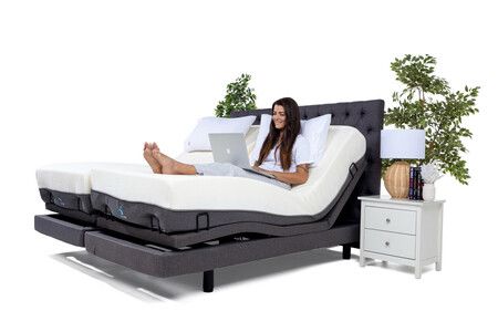Adjusta bed store price