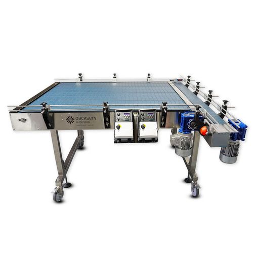 Packserv Infeed Conveyor