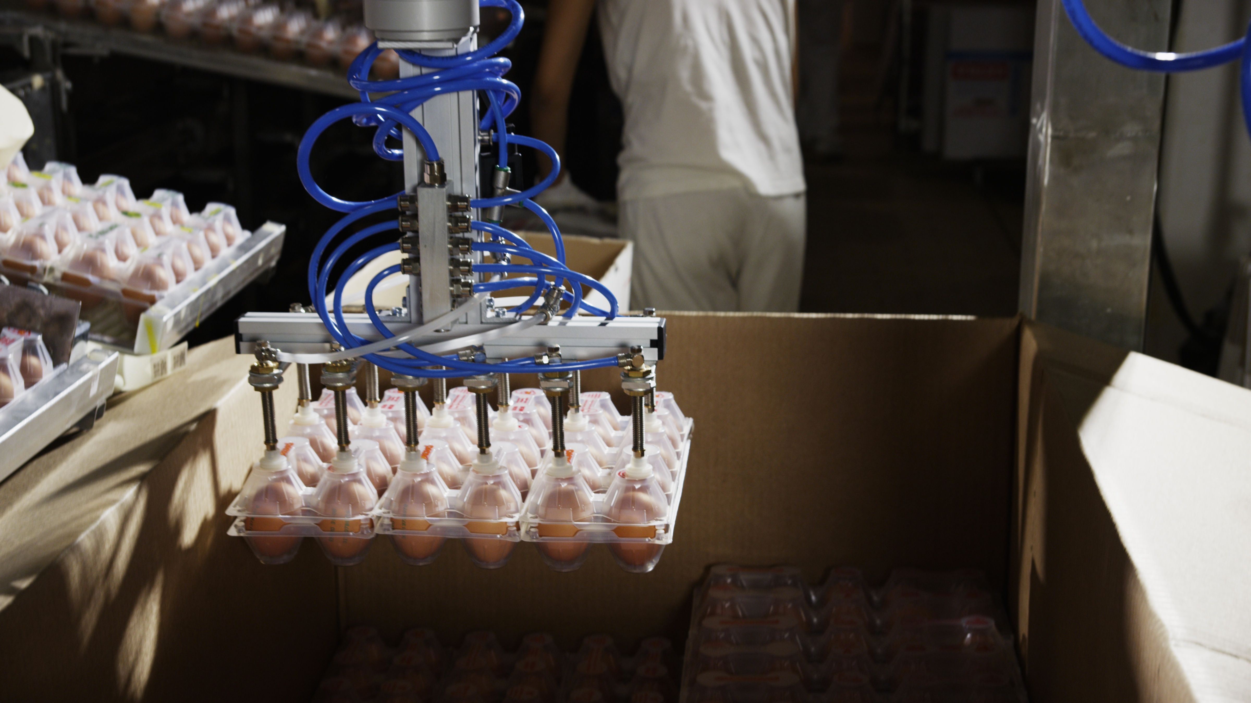 3 Ways in Which Cobots Can Help Companies Achieve Their SDGs