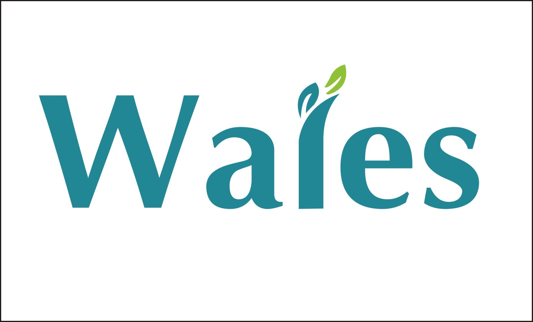 Wales Industries