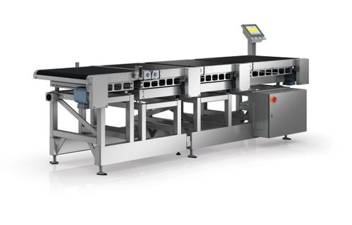 Catchweighers and DWS Solutions