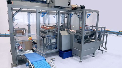 Gantry 300 Swing Case Packer